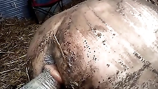dirty