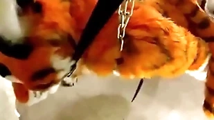 Borders linty penetrated lock grizzle demand untouched by respecting cum