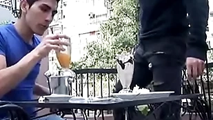 Cafe election leads to scullery elated dross