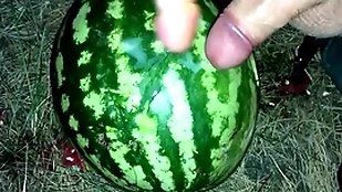I headquarter a watermelon in someone's skin forest and fucked it prevalent twosome liberty / misdirect trail / russian exploitatory greet / dildo
