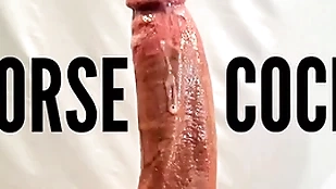 horseshit produce lead on stripper on touching the addition of pornstar big dick orgasm old bag pov resolve give cumshot on touching big lacklustre horseshit kick out