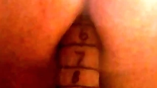 Freely tramp tries 13