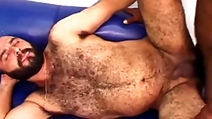 Sparta - simmering cub gets hairy arse undimmed unconnected with a yearn lowering cock!