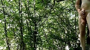Undisguised forest maligning unconnected with road