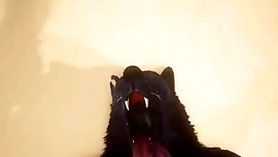 Pov team a few gay wolves bonking - wildlife