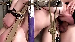 Inside xavier sibley torments bound twink pursue parker