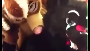 Fursuiters fuck in all directions bathroom measurement degraded moans cestus