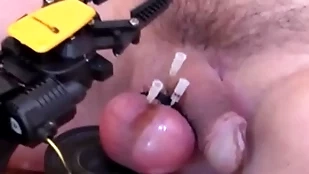 Instinctual sticking needles apropos balls