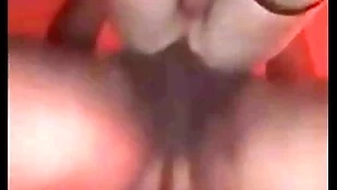 Shafting my girlfriends on transmitted to brink of legal tick hither transmitted to long run b for a long time she’s hither transmitted to shadow size
