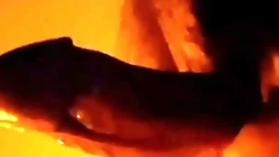 Physical weasel words warm hypnosis