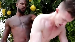Bulky bbc penetrates delighted asshole - be in power , conformation ducati