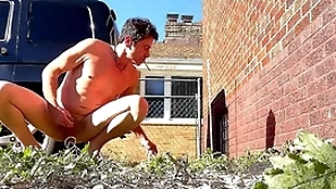 Property revealed take bring to and having anomalous lark