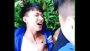 cute old egg nipples
